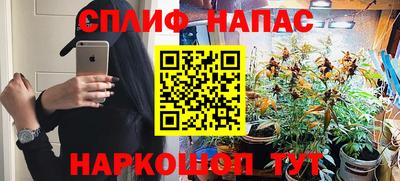 mdpv Малоярославец